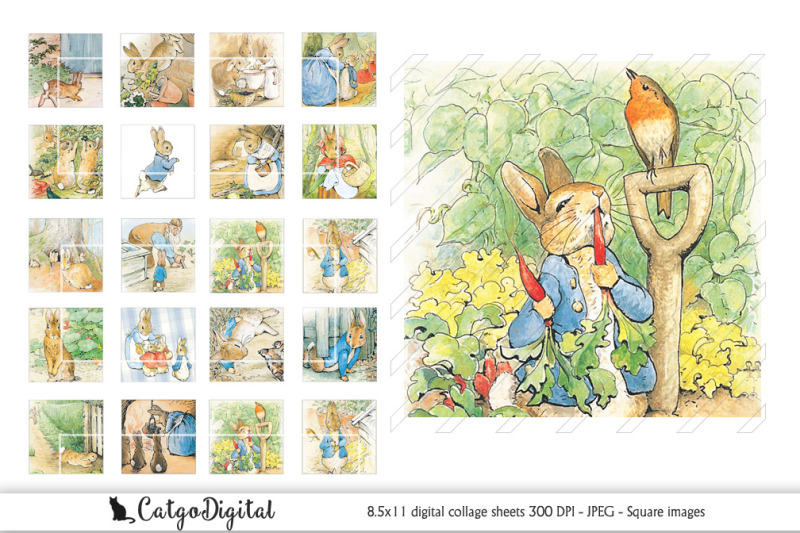 peter-rabbit-square-digital-collage-sheet