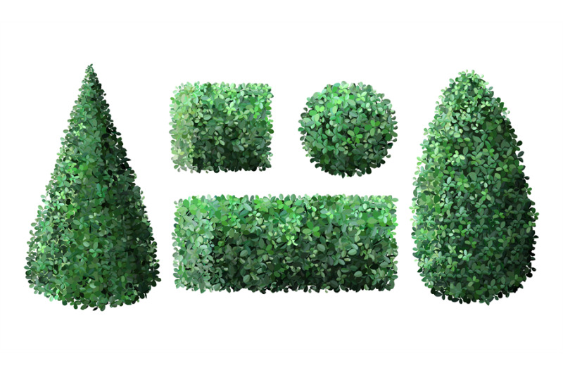 realistic-garden-bushes-topiary-gardener-fence-geometrical-tree-crow