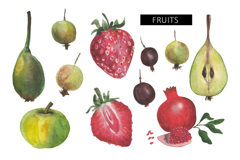 farm-berries-amp-fruits
