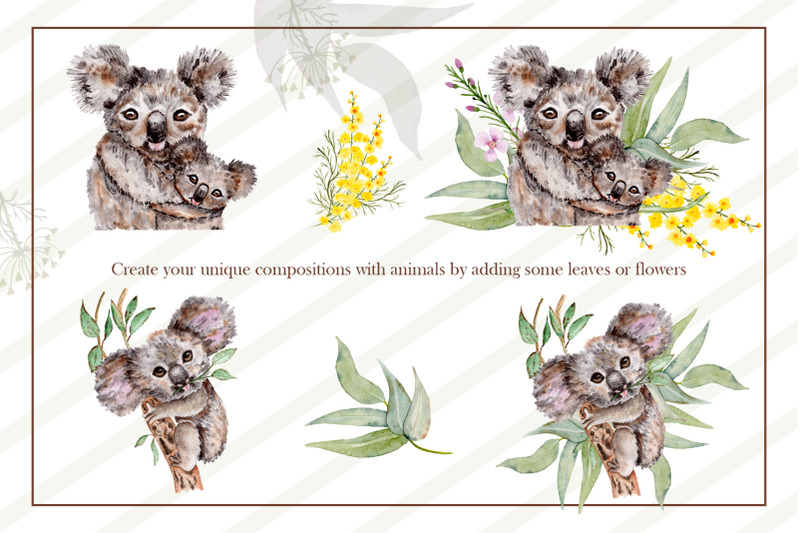 watercolor-koala-collection