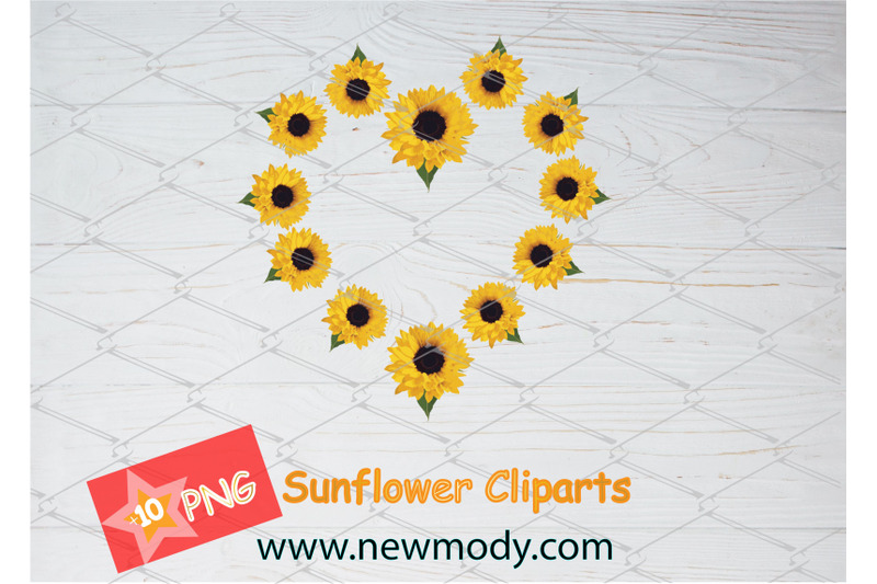 sunflower-clipart-bundle-set-of-sunflower-png-sunflower-heart
