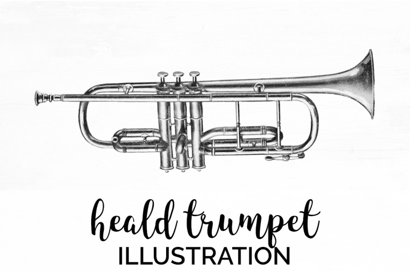 trumpet-clipart-music