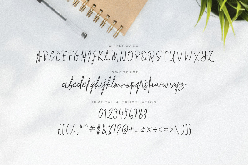 signathy-font