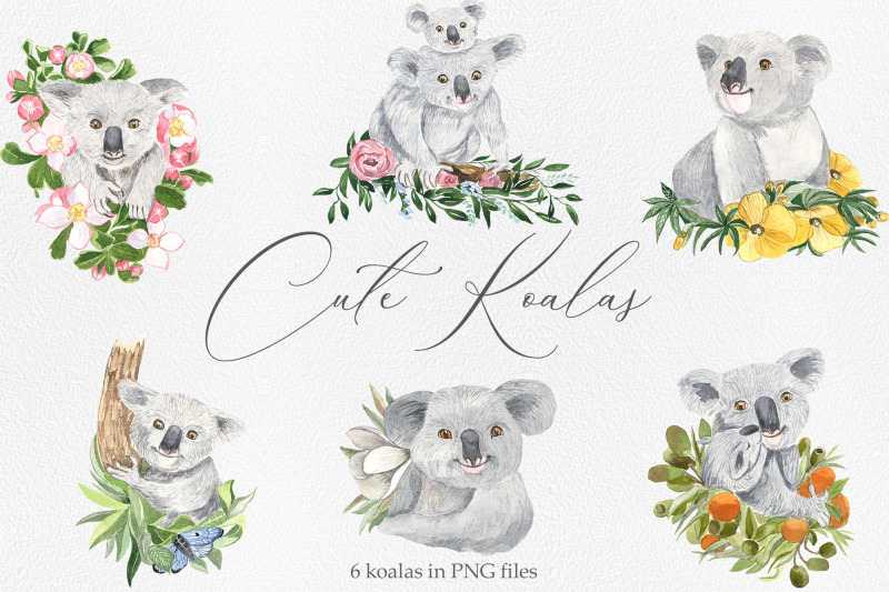 koala-watercolor