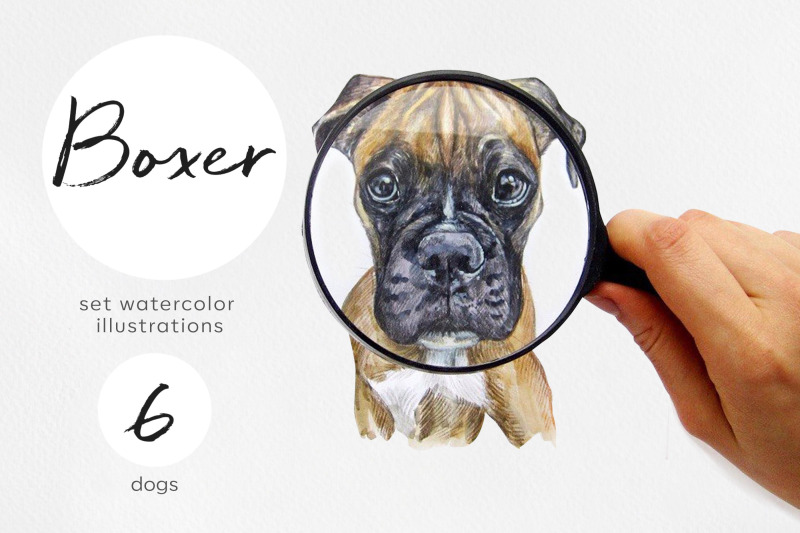 boxer-dog-watercolor-dogs-illustrations-cute-6-dogs
