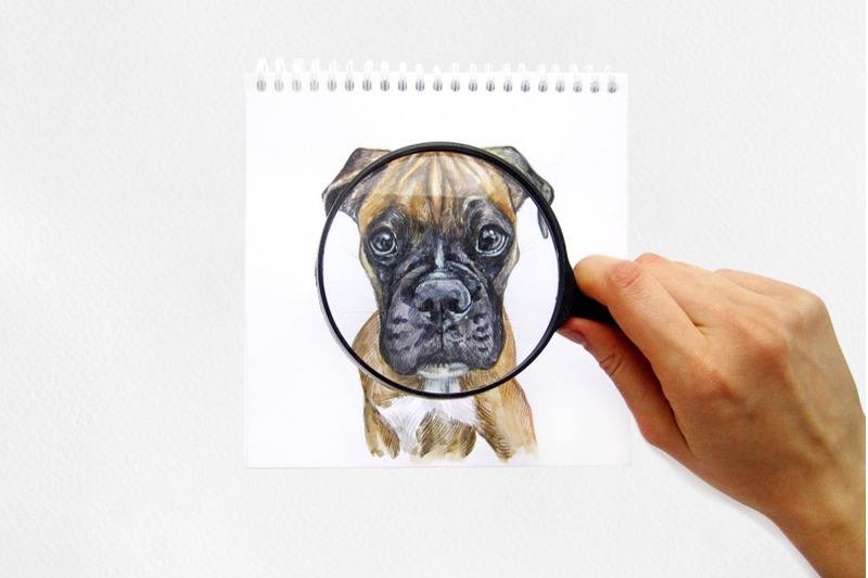 boxer-dog-watercolor-dogs-illustrations-cute-6-dogs