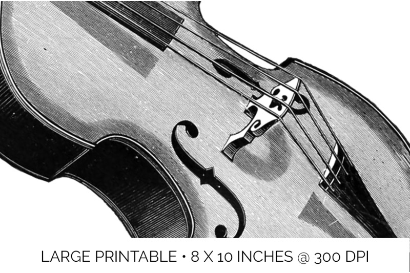 violin-clipart-music