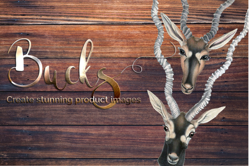 bucks-deer-clipart