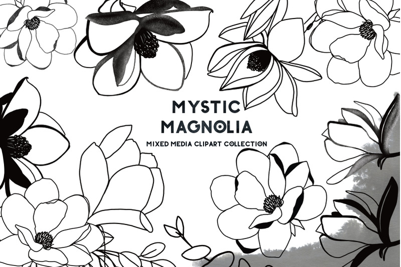 mystic-magnolia-black-white-flowers