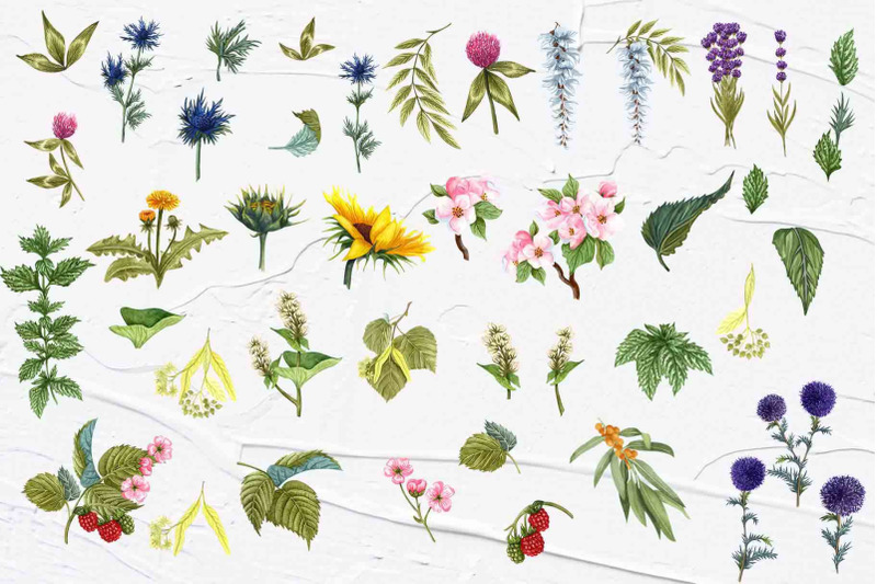 honey-herbs-watercolor-set