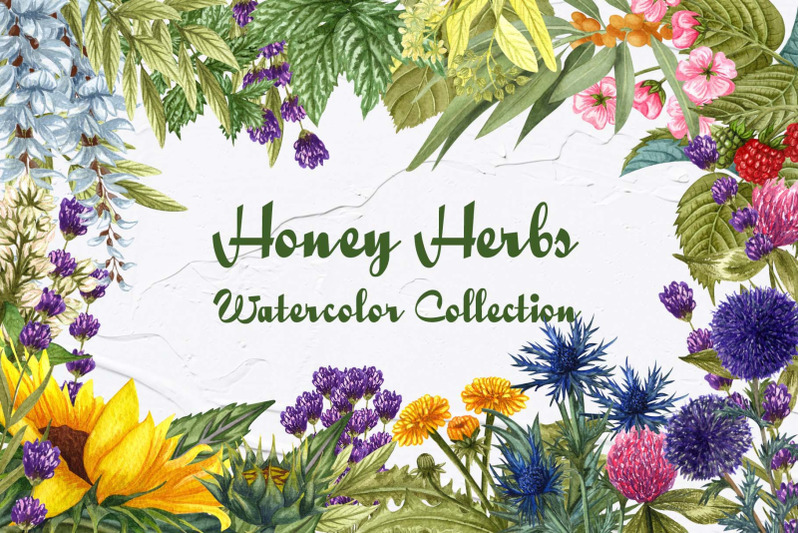 honey-herbs-watercolor-set