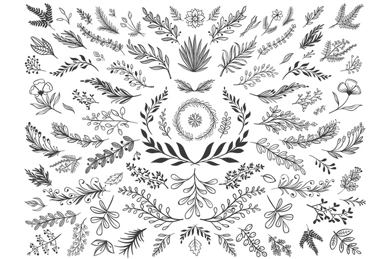 hand-drawn-floral-decor-leaves-sketch-ornamental-branches-decorative