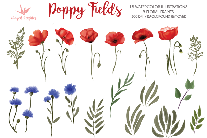 poppy-fields-watercolor-floral-illustrations