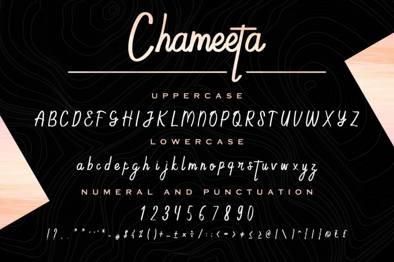 chameeta