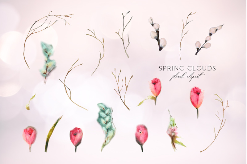 spring-clouds-watercolor-floral-set