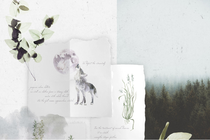 gloomy-fairytale-graphic-collection