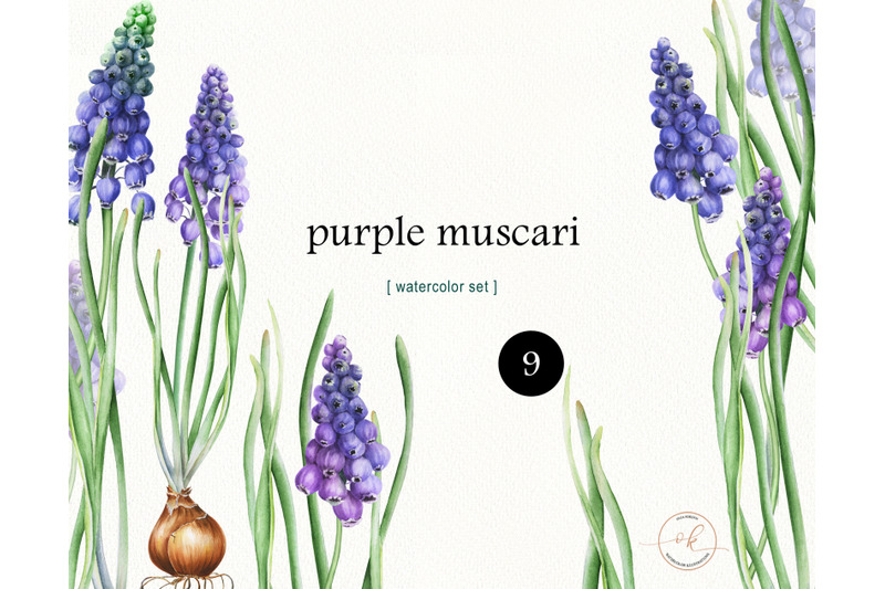 watercolor-spring-flowers-clip-art-easter-clipart-purple-muscari
