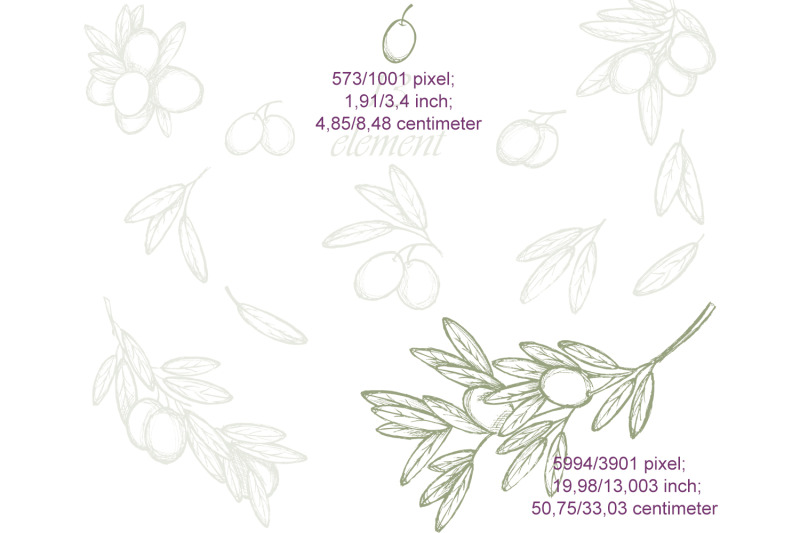 olives-floral-elements-watercolor-clipart-branches-leaves-twigs-g
