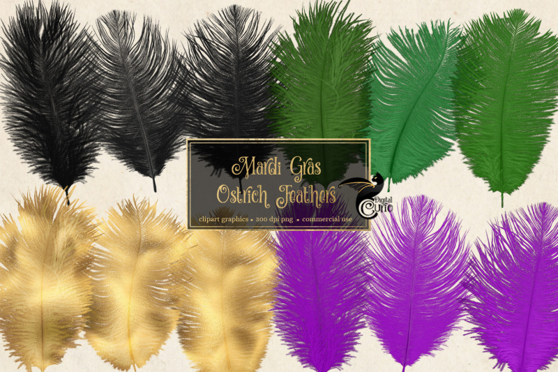 mardi-gras-ostrich-feathers-clipart