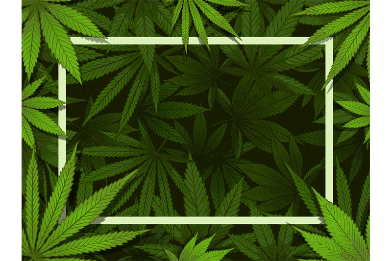 green-hemp-frame-marijuana-leafs-border-medical-drugs-and-cannabis-d