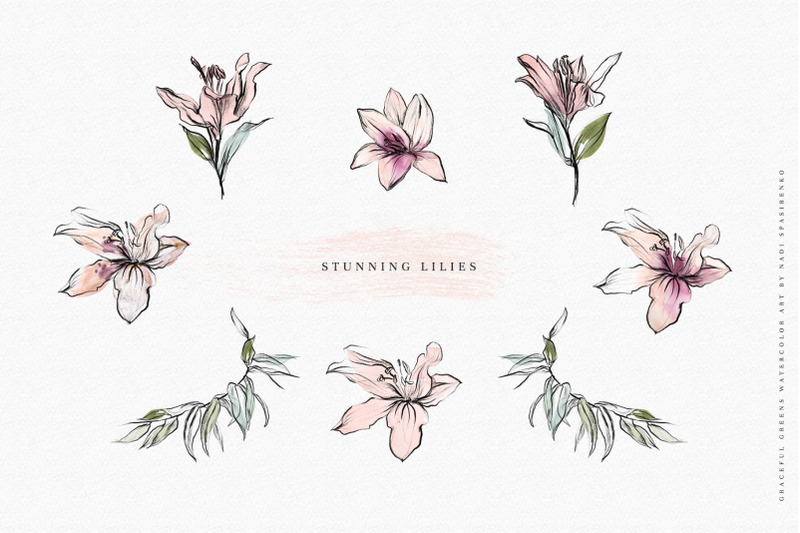 stunning-lilies