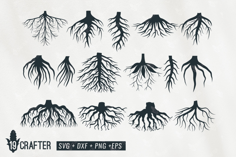 plant-root-variety-illustration-svg-bundle