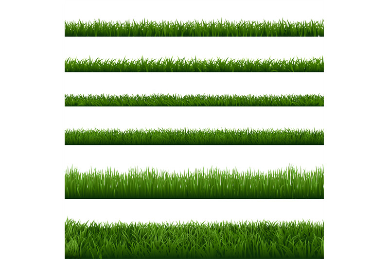 realistic-grass-borders-green-garden-herb-plants-landscape-fresh-law