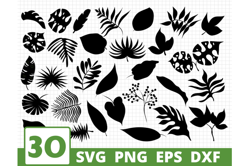 leaves-silhouette-svg-bundle-leaf-cricut-leaves-clipart