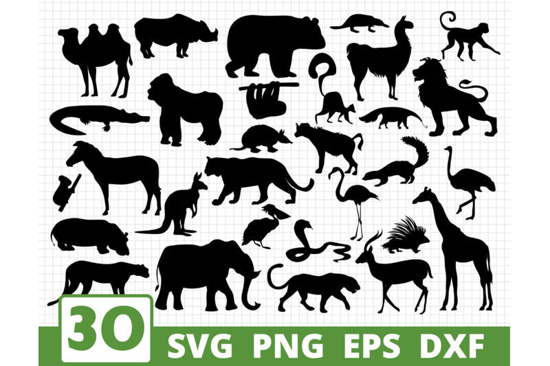 african-animals-silhouette-svg-bundle-animals-cricut