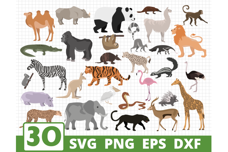 african-animals-svg-bundle-colored-amp-silhouette