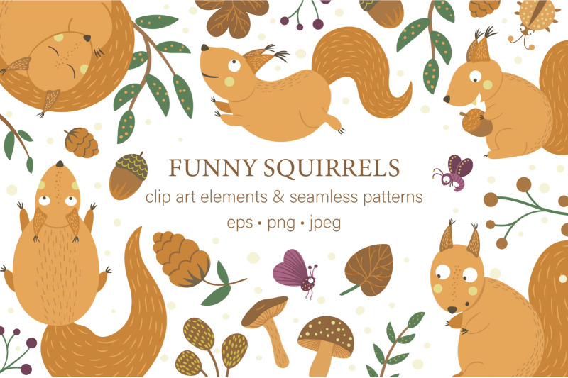 funny-squirrels