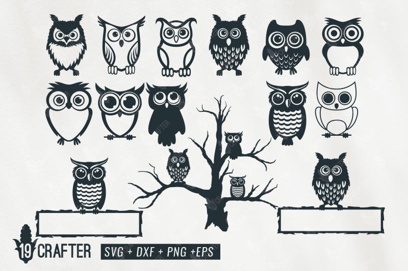 cute-owl-character-svg-bundle
