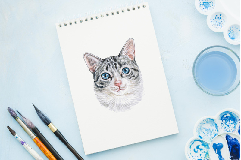 part-2-watercolor-cat-illustrations-cute-12-cats-kitty-meow