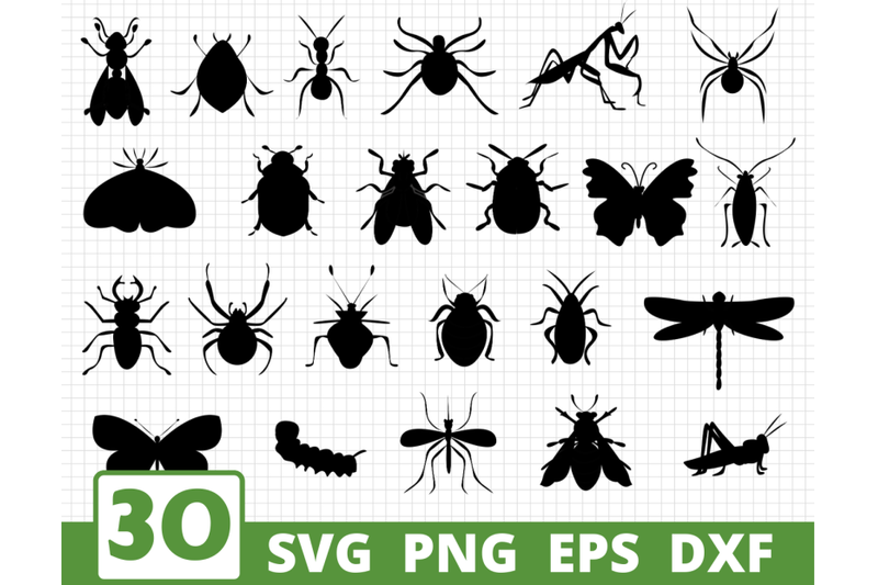 insects-colored-amp-silhoutte-svg-bundle-butterflies-svg-animals