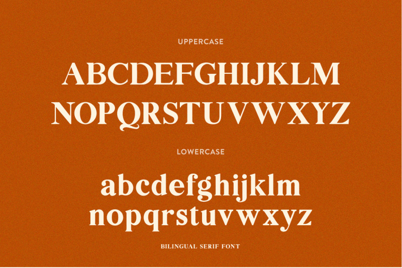 bilingual-serif-font-duo-serif-fonts-modern-fonts-swirly-fonts