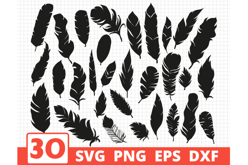Download FEATHERS SVG BUNDLE | COLORED, SILHOUETTE & SKETCH By ...