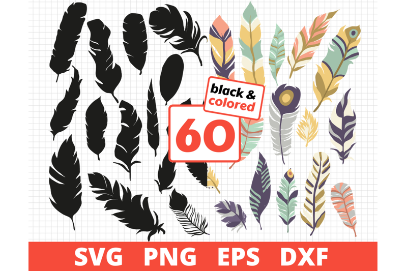 feathers-svg-bundle-colored-silhouette-amp-sketch