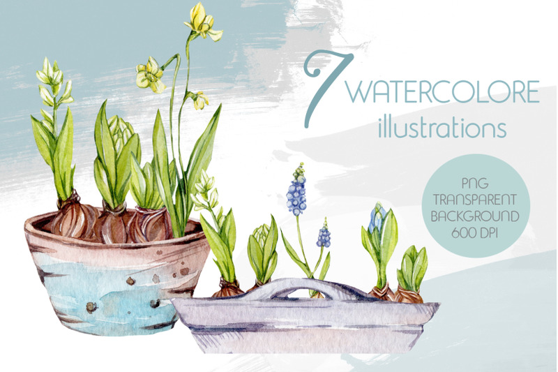watercolor-spring-illustrations