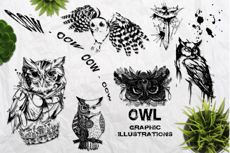 wild-owls-collection-of-22-graphic-hand-drawn-illustrations