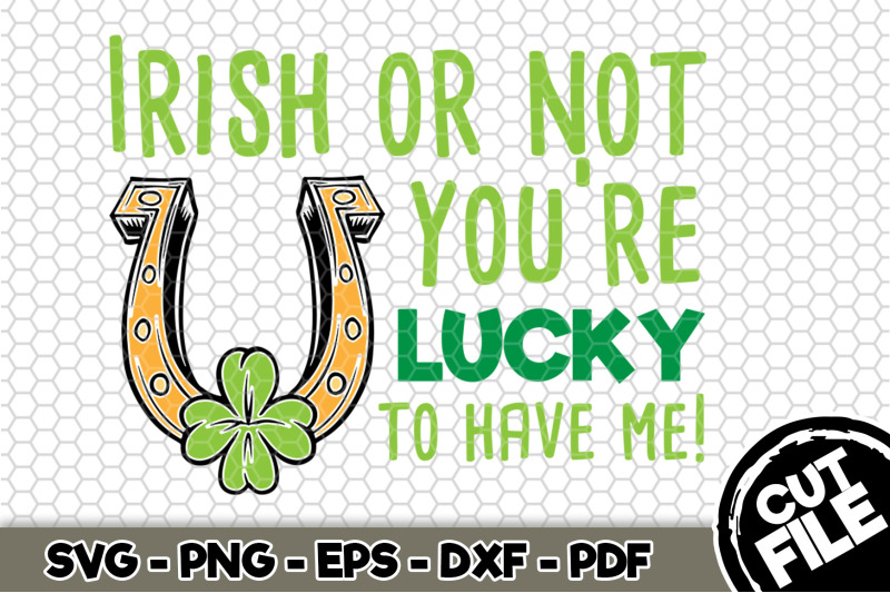 irish-or-not-you-039-re-lucky-to-have-me-svg-cut-file-n164