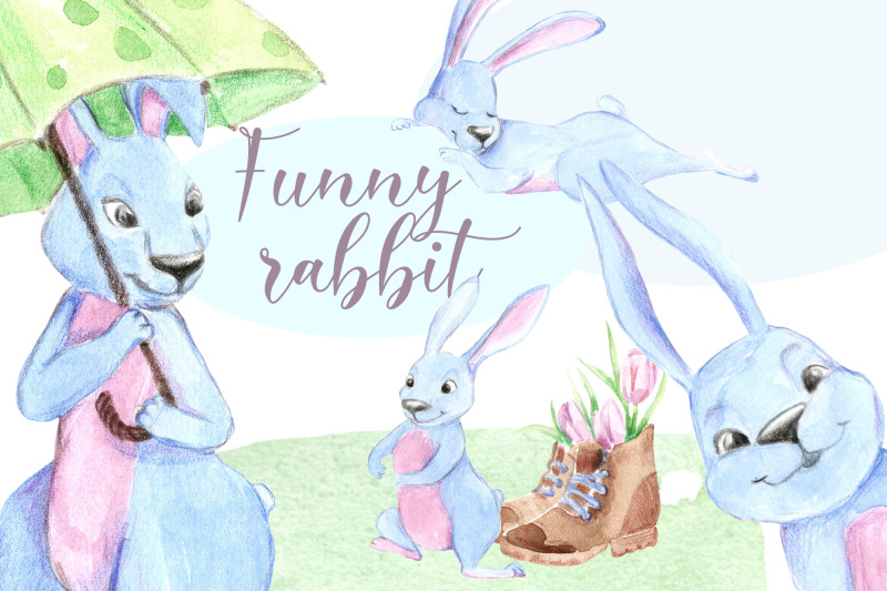funny-rabbit
