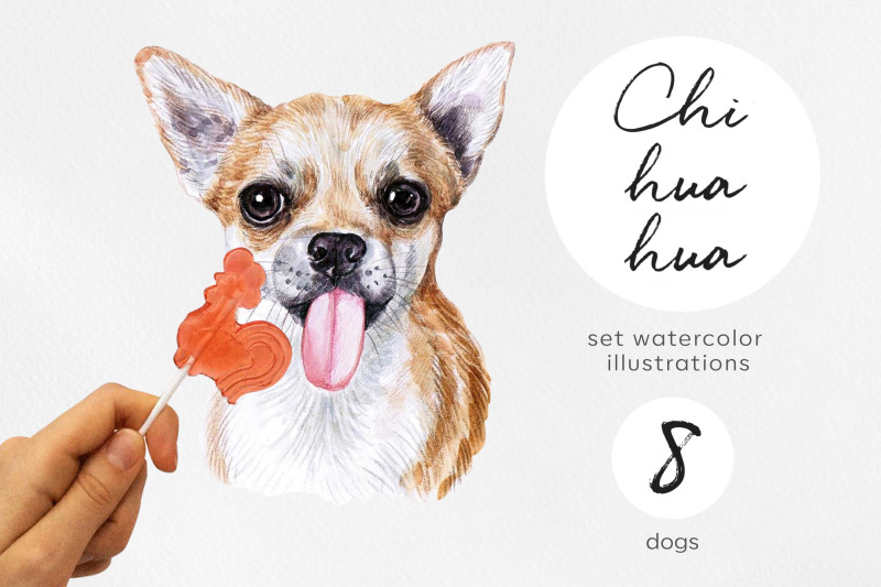 chihuahua-watercolor-set-dogs-illustrations-8-dogs