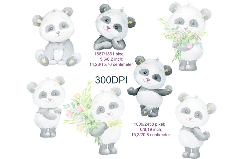 panda-little-animals-watercolor-clipart-watercolor-bear-panda-cub