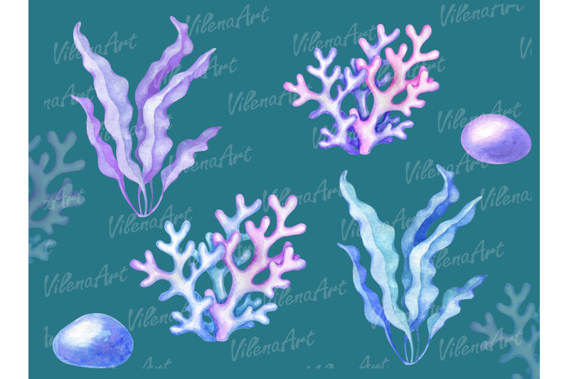 watercolor-seashells-clipart-ocean-conch-shells-starfish-seaweed-nauti