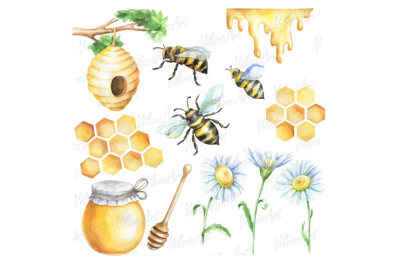 watercolor-bees-and-honey-clipart-png-digital-clip-art-hand-painted-be