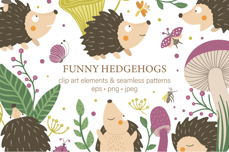 funny-hedgehogs