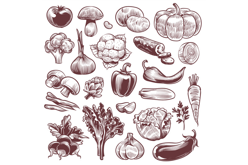 hand-drawn-vegetables-various-vintage-hand-drawn-vegetable-organic-c