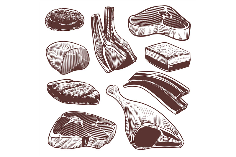 sketch-meat-hand-drawn-fresh-raw-meat-products-collection-beef-steak