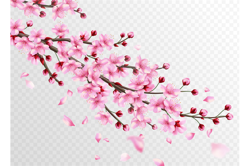 realistic-sakura-beautiful-sakura-branches-with-pink-flowers-and-fall