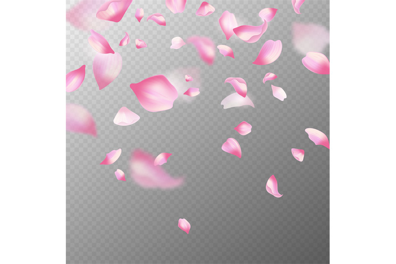 pink-sakura-petals-realistic-pink-falling-cherry-petals-spring-bloss